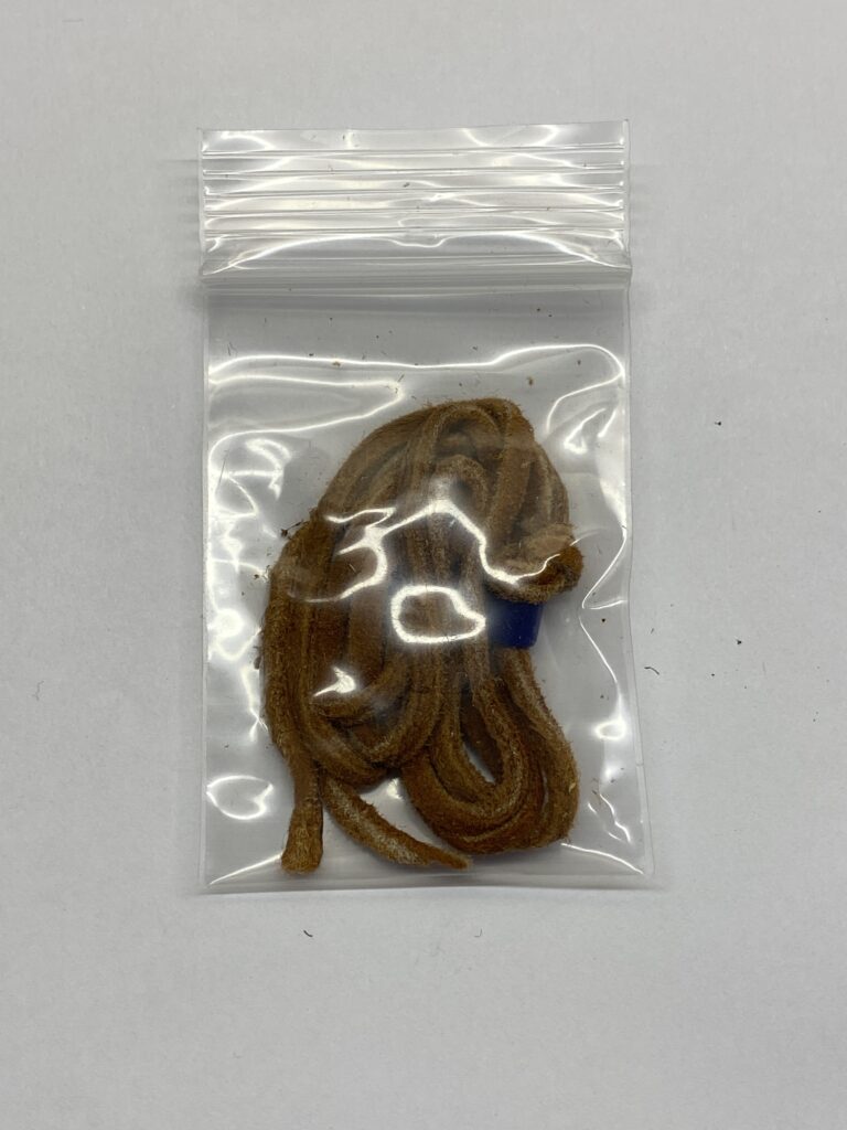ゴローズ　新品　革紐　ブラウン